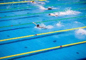 Image de la catégorie Natation