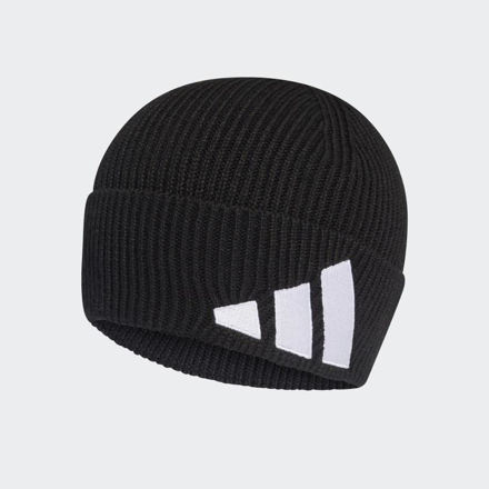 Picture of FI BEANIE  OSFM ADULT Black