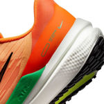 Picture of WMNS NIKE AIR WINFLO 9  7.5US - 38 1/2 Orange