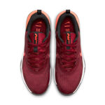 Picture of NIKE AIR MAX ALPHA TRAINER 5  10.5US - 44 1/2 Burgundy