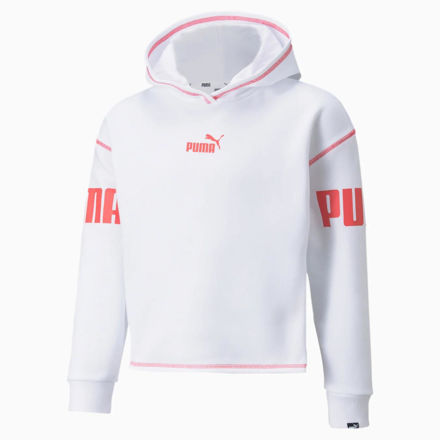 Picture of PUMA POWER HOODIE FL G
