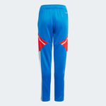 Picture of FC BAYERN CONDIVO 22 TRAINING PANTS  164 (13-14Y) Blue/red