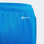 Picture of FC BAYERN CONDIVO 22 TRAINING PANTS  140 (9-10Y) Blue/red
