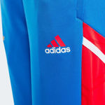 Picture of FC BAYERN CONDIVO 22 TRAINING PANTS  152 (11-12Y) Blue/red