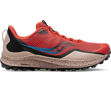 Image de PEREGRINE 12 - M