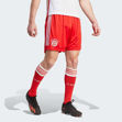 Image de SHORT DOMICILE FC BAYERN 23/24