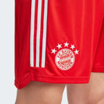 Picture of SHORT HOME FC BAYERN 23/24  L Red