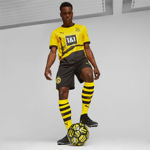 Picture of HOME JERSEY 23/24 BORUSSIA DORTMUND MAN  S Yellow