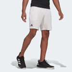 Picture of CLUB SW SHORT  S 7" White