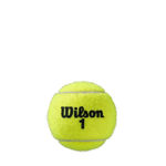 Image de ROLAND GARROS ALL COURT  TUBE DE 4 BALLES