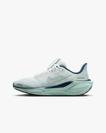 Image de AIR ZOOM PEGASUS 41 (GS)