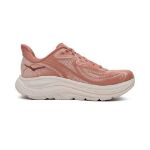 Image de W CLIFTON 10  8 US -39 1/3 Rose