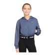 Image de VESTE D'ENTRAÎNEMENT NIKE PRO FLEECE