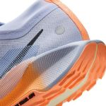Image de NIKE PEGASUS TRAIL 5 GTX  8.5US - 42 Bleu clair