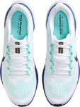 Image de AIR ZOOM PEGASUS 41  10.5US - 44 1/2 Blanc/vert