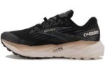 Image de CASCADIA 19 - GTX M  10.5 US - 44 1/2 Gris anthracite