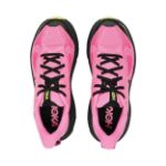 Image de CHALLENGER 8 - W  8 US -39 1/3 Rose