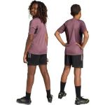 Image de REAL TR SHORT Y  152 (11-12A) Noir/mauve