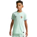Image de MAILLOT FFF FOOT REPLICA DRI-FIT  L (12-14A) Vert d'eau