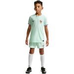Image de MAILLOT FFF FOOT REPLICA DRI-FIT  L (12-14A) Vert d'eau