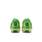 Image de PHANTOM 6 LOW ACAD FG/MG EH  8US - 41 Vert/rose