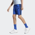 Image de J 3S KN SH 210  164 (13-14A) Bleu royal