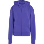 Image de D4T FZ HOODIE  M Mauve