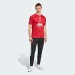 Image de MAILLOT PRÉ-MATCH LIVERPOOL FC  M Rouge