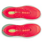 Image de XODUS ULTRA 4 - W  8.5 US - 40 Orange fluo