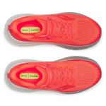Image de GUIDE TR - M  9 US - 42 1/2 Rose