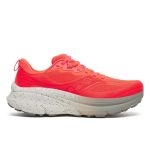 Image de GUIDE TR - M  10 US - 44 Rose