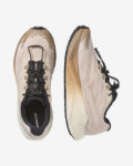Image de AERO BLAZE 4 GRVL - W  41 1/3 Beige