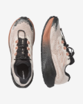 Image de AERO BLAZE 4 GRVL GTX - M  41 1/3 Beige