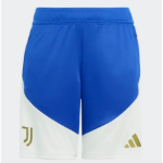Image de SHORT D’ENTRAÎNEMENT JUVENTUS 26/27 POUR ENFANT  164 (13-14A) Bleu / blanc