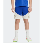 Image de SHORT D’ENTRAÎNEMENT JUVENTUS 26/27 POUR ENFANT  176 (15-16A) Bleu / blanc