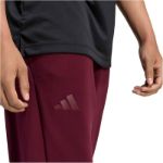 Image de COVER UP PANTS  S Bordeaux