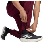 Image de COVER UP PANTS  L Bordeaux